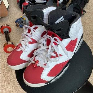 Jordan 6’s Carmine’s